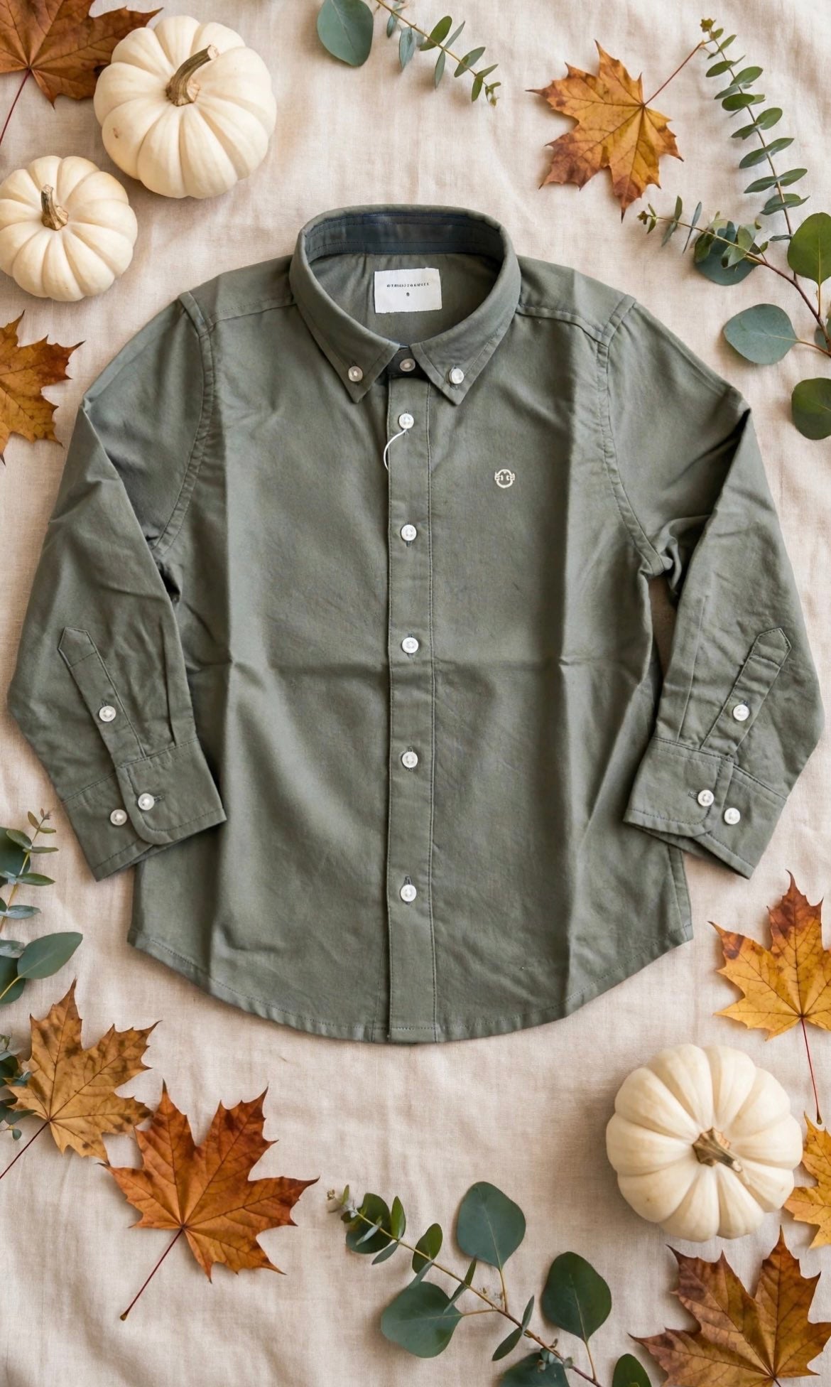 camicia bambino street monkey ai2797015n