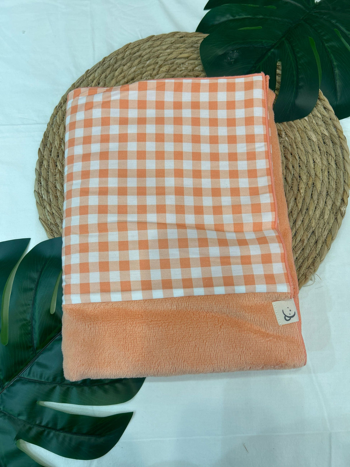 telo mare  calamaro pe26087