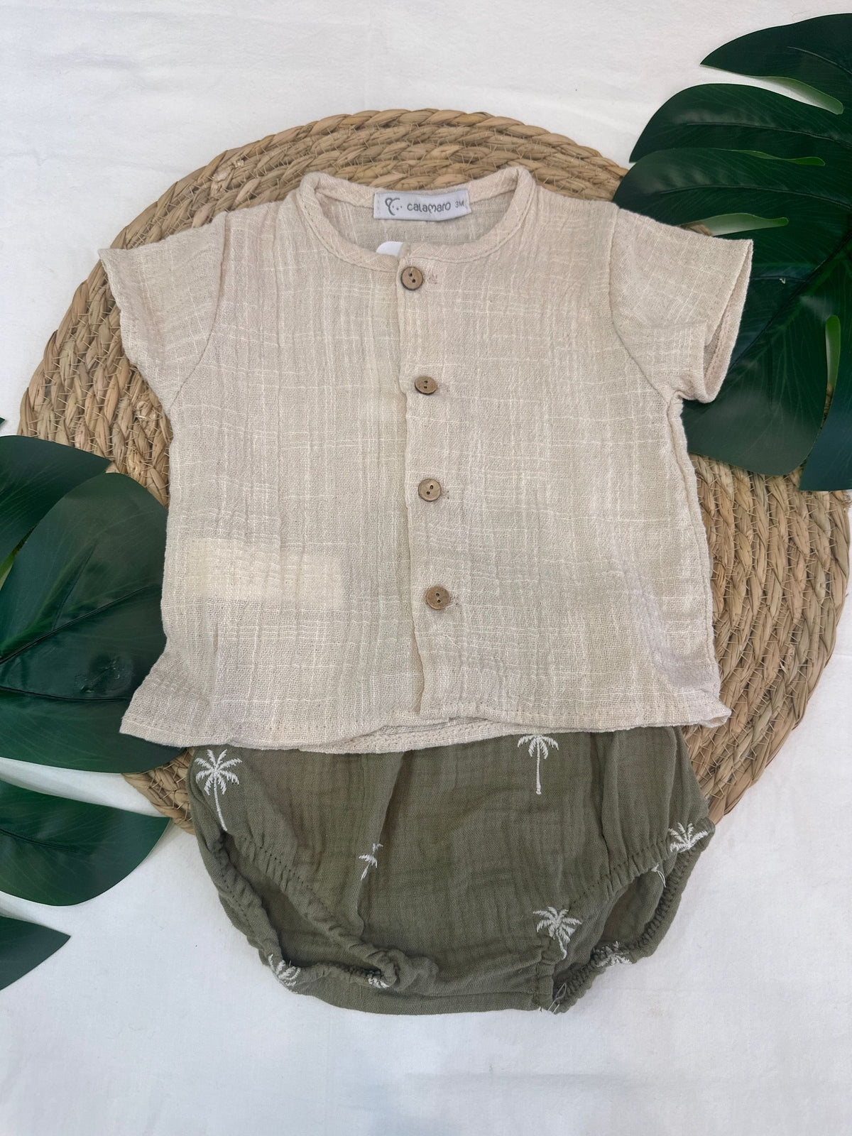 completo naonato calamaro pe26313