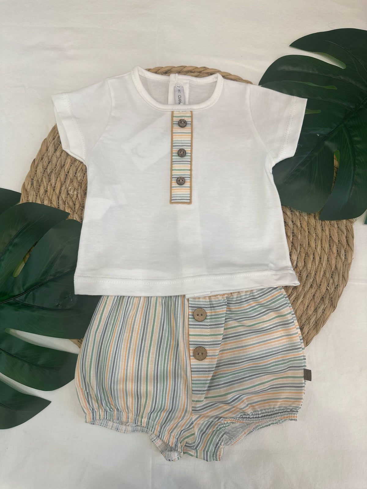 completo naonato calamaro pe2611319