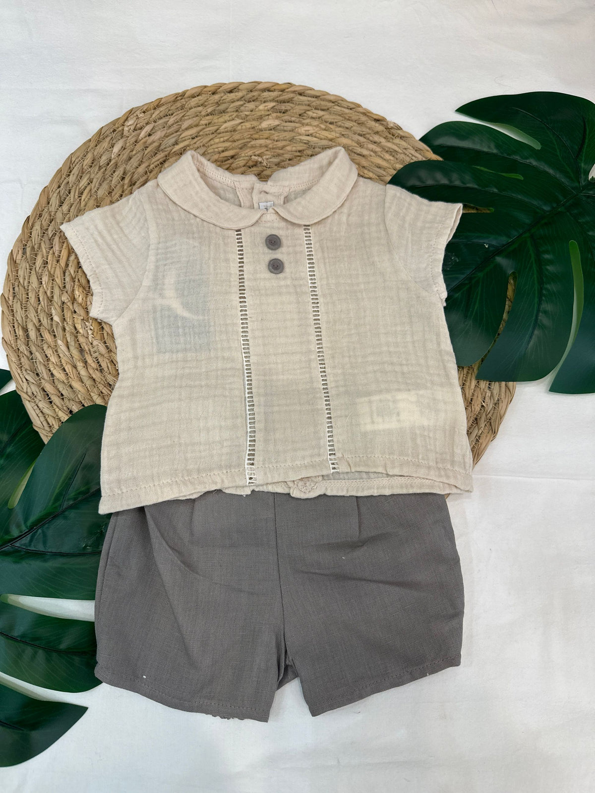 completo naonato calamaro pe2611335