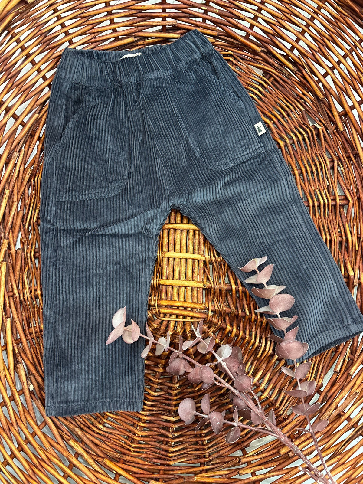 Pantalone neonato petit indi ai269024