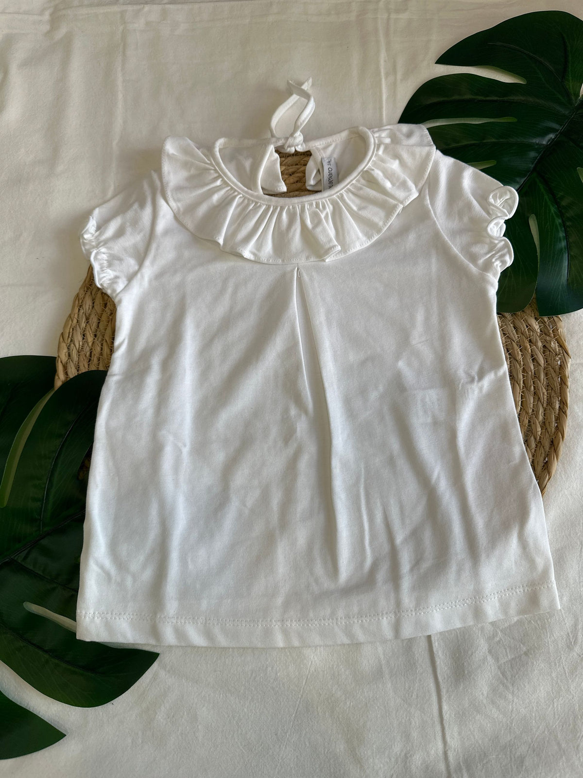 maglia neonata calamaro pe2615049p