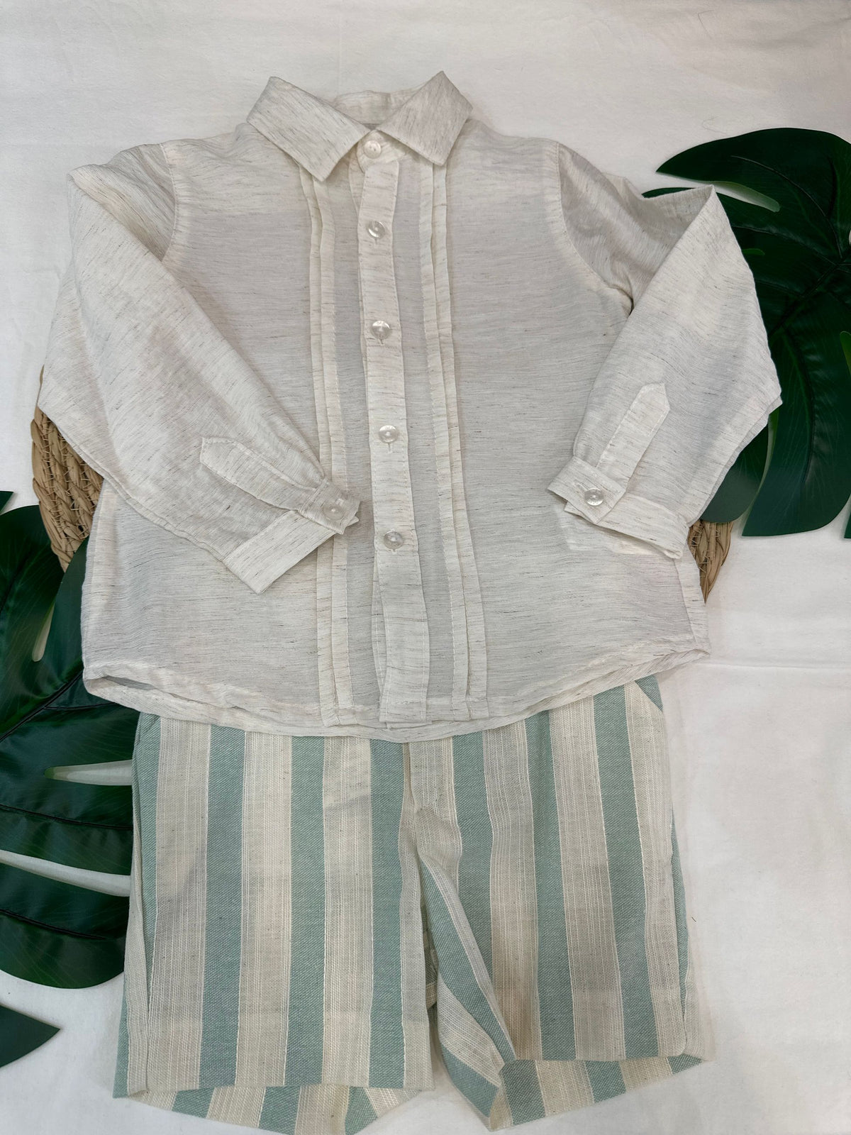 completo neonato del sur pe261245n