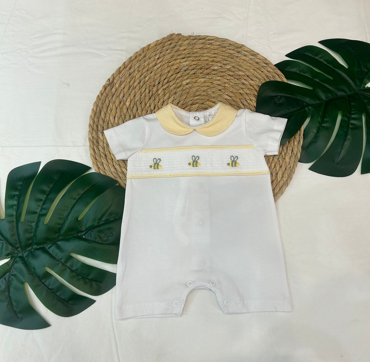 pagliacetto naonato deolinda pe26737