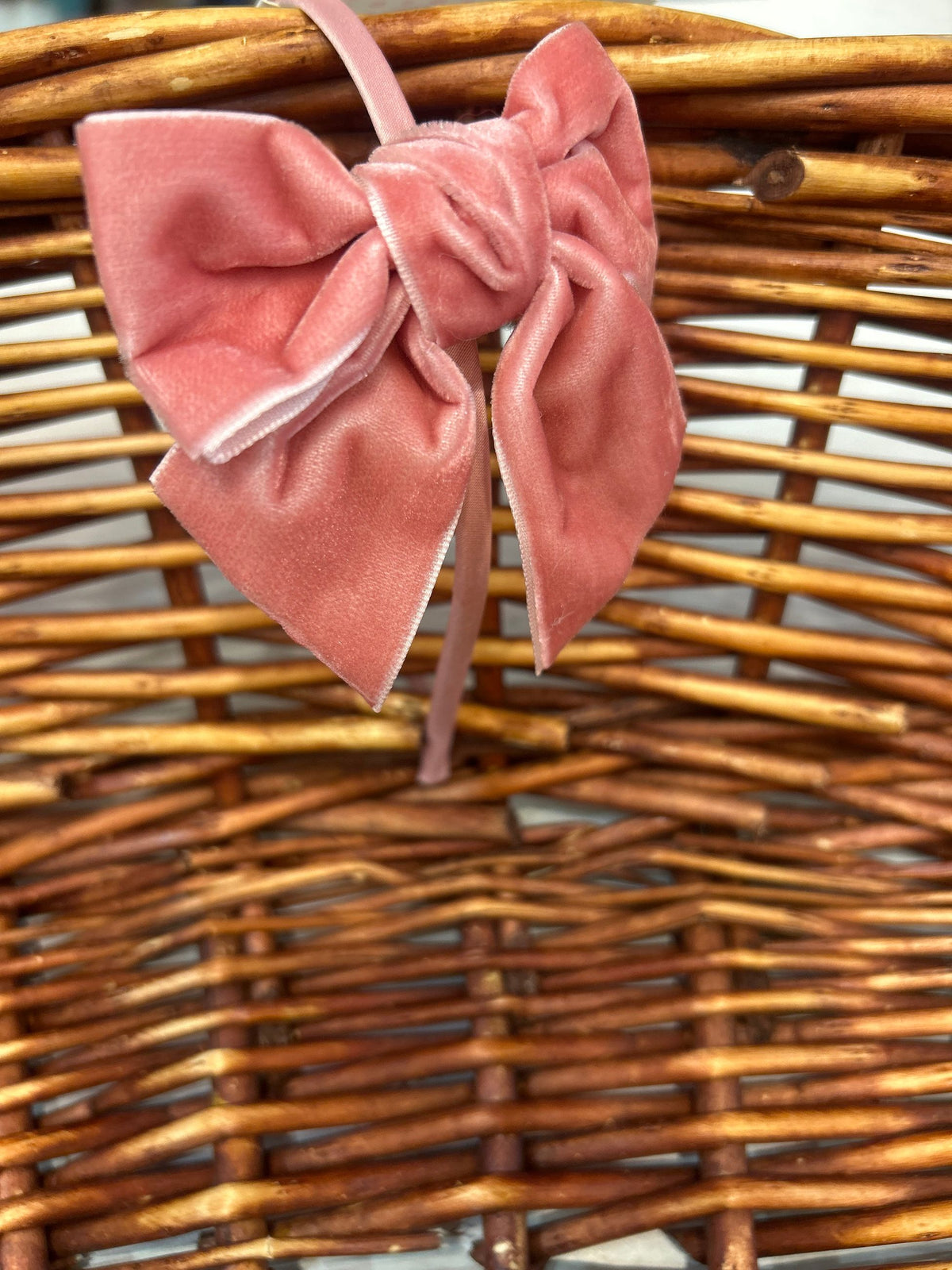 frontino  siena aqi266357