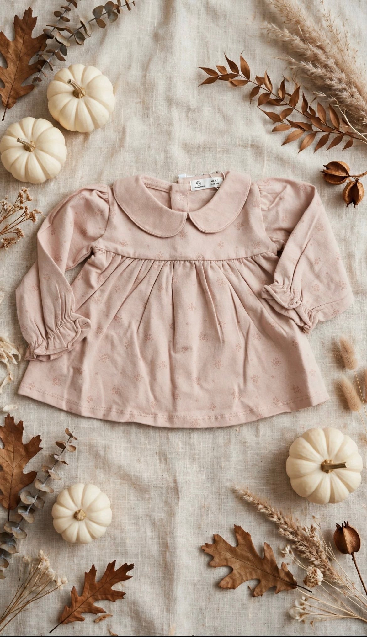 maglia neonata street monkey ai27040