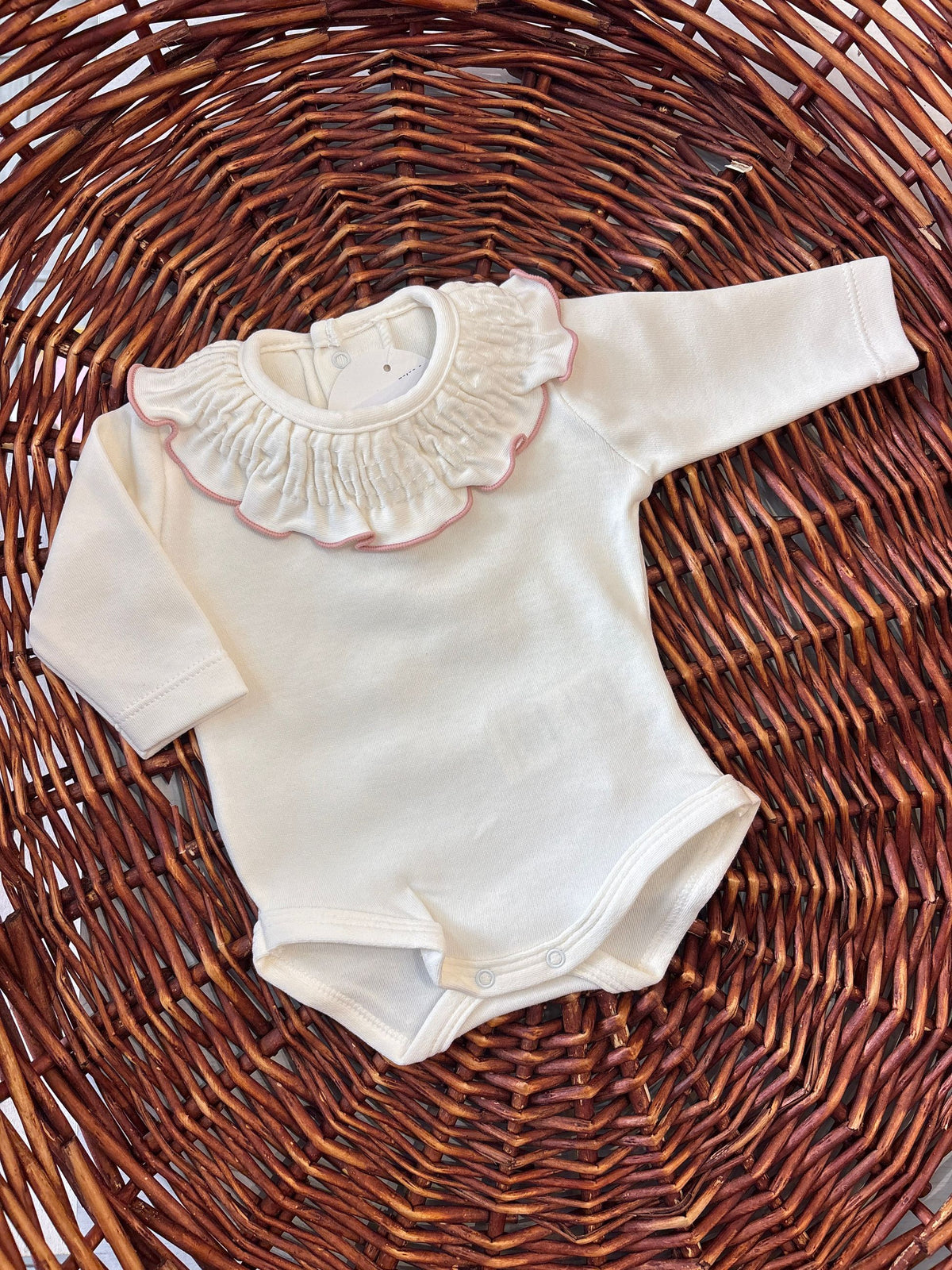 body neonata calamaro ai2619128