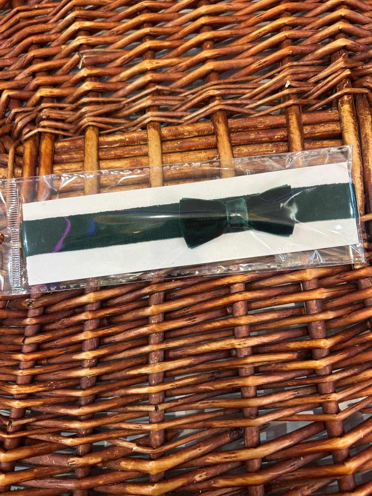 fascia  siena ai267154