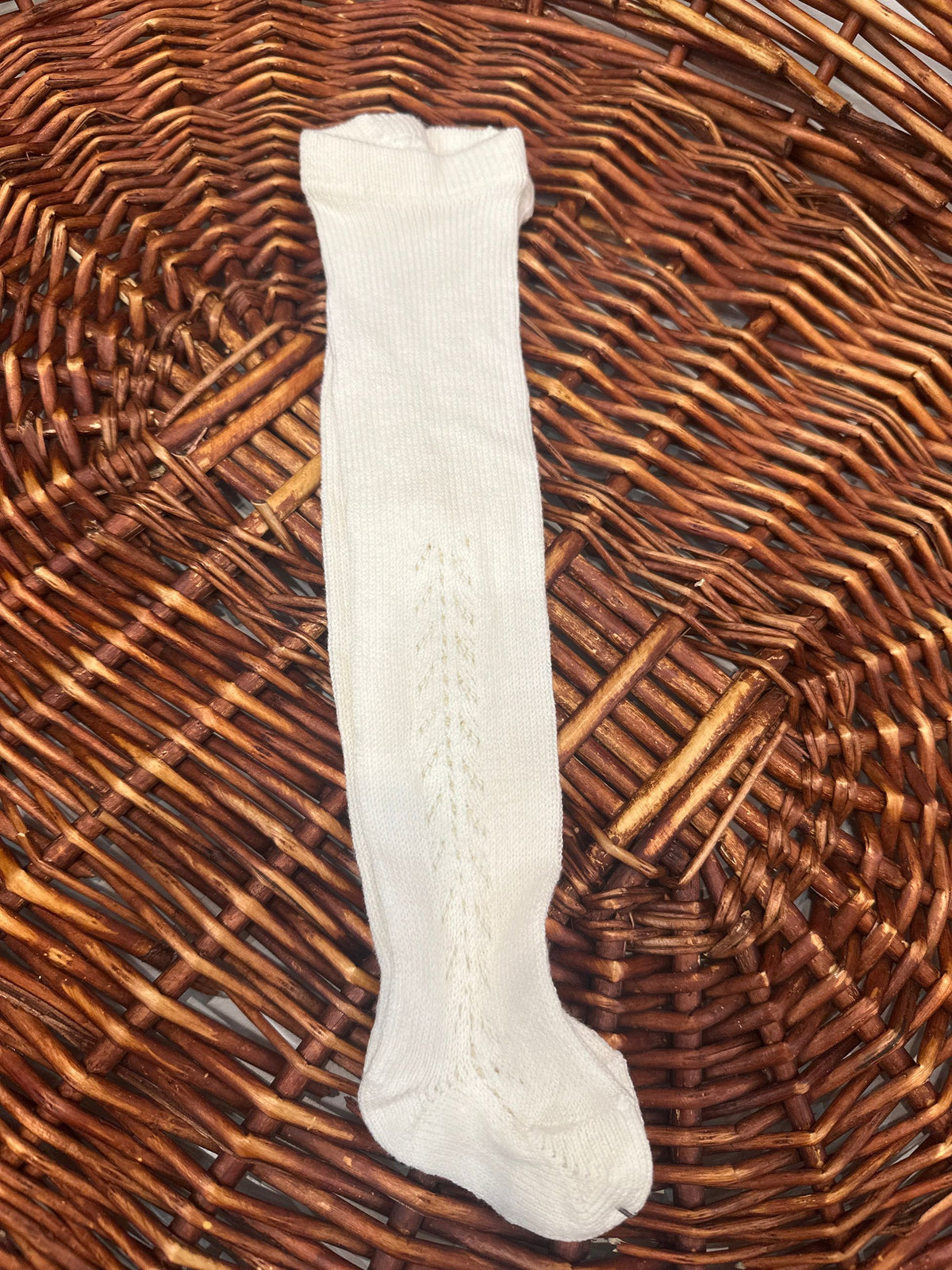 calza naonato condor ai26591